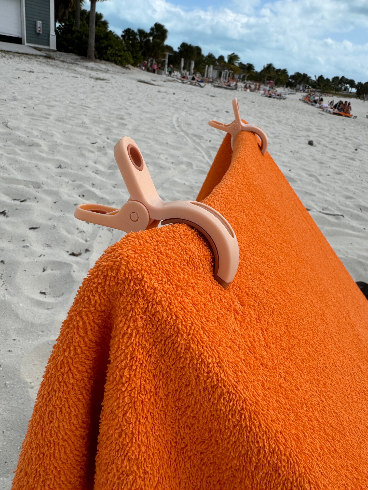 Beach Towel Clips