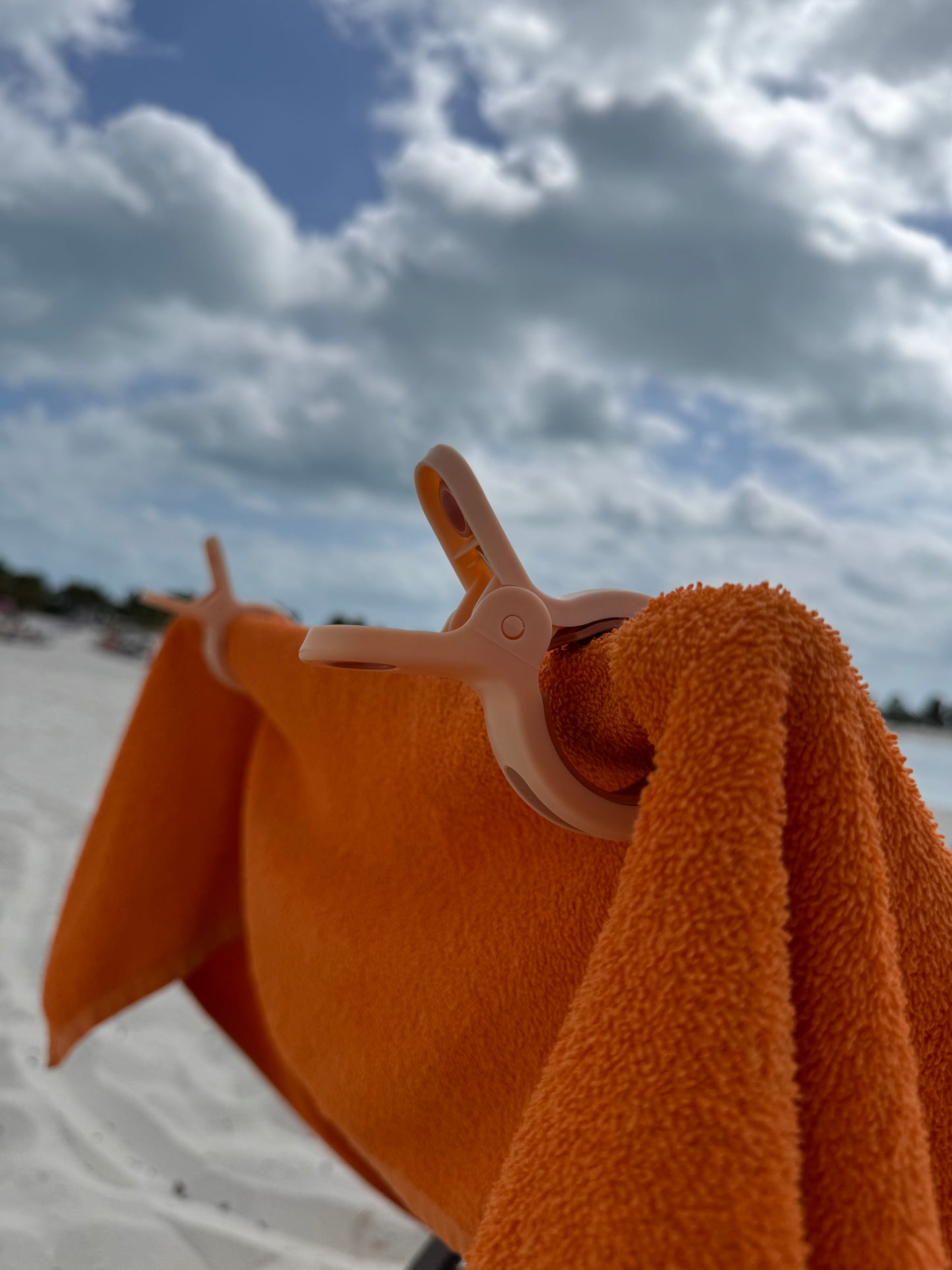 Beach Towel Clips