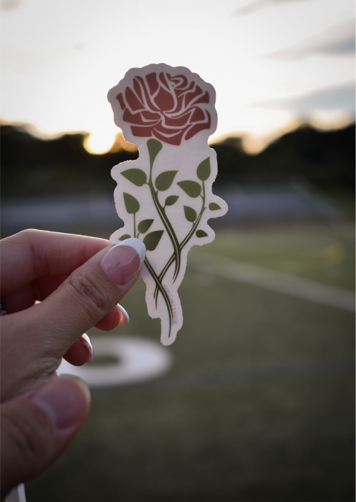 Clear Rose Sticker