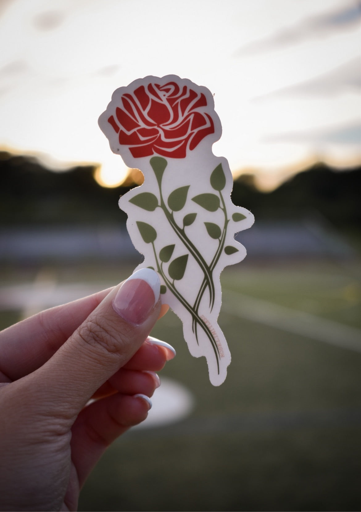 Clear Rose Sticker